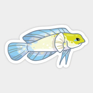 Yellowhead Jawfish Sticker